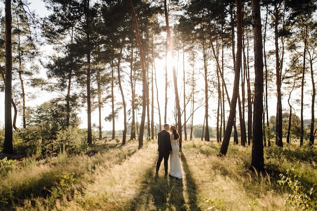 Foto romantica nella foresta delle fate. Bella donna