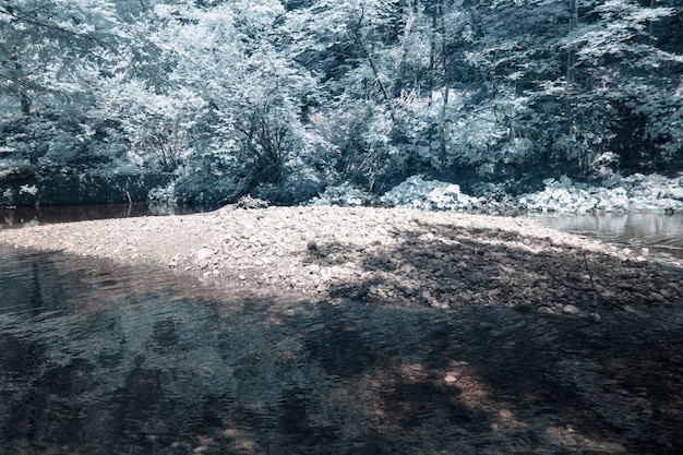 Fotografia a infrarossi delle rocce coperte di muschio nel comune di Skrad della Croazia