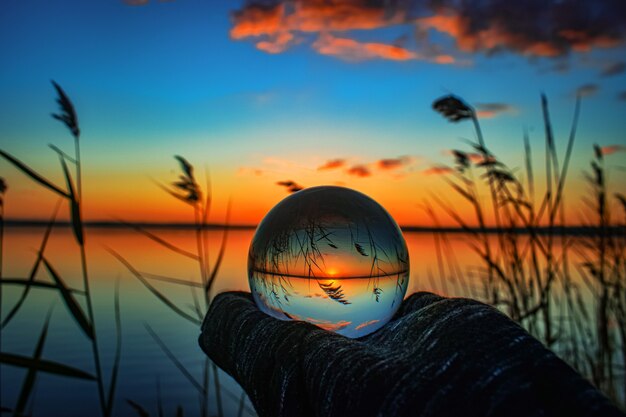 Fotografia creativa della sfera dell'obiettivo di cristallo di un lago con vegetazione intorno all'alba