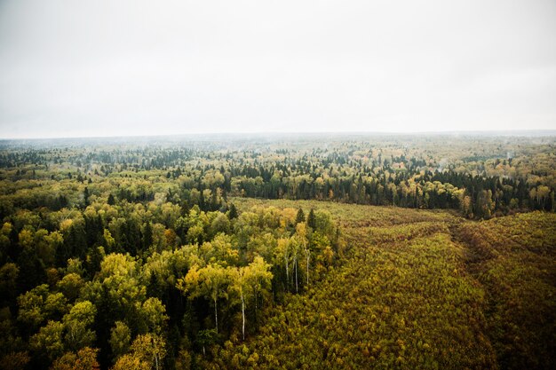 fotografia naturalistica dall&#39;aria