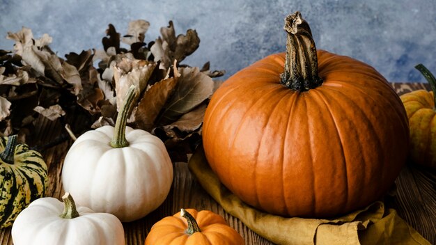 Fotografie di verdure biologiche di zucca di Jack Lantern