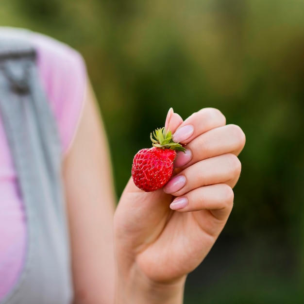 Fragola della tenuta della mano del primo piano