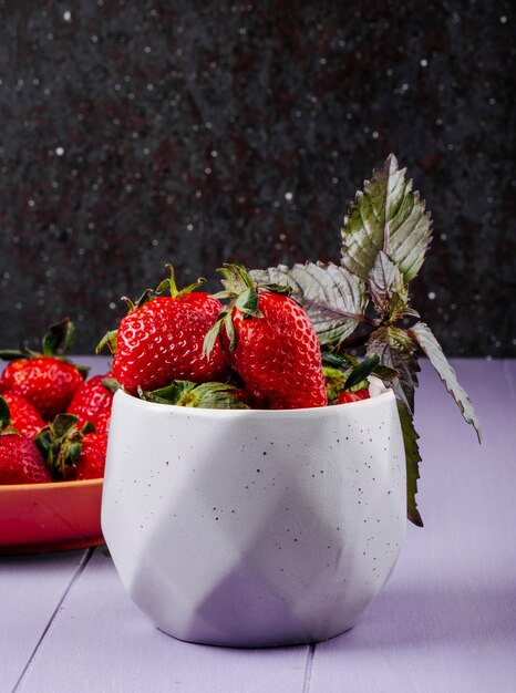 Fragola fresca di vista laterale su fondo nero e porpora