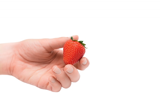 Fragola in mano femminile isolata su una priorità bassa bianca