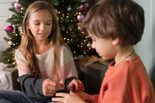 Fratelli germani che decorano insieme l'albero di Natale