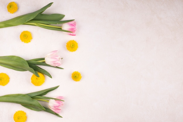 Freschi boccioli di fiori gialli e meravigliosi tulipani su steli verdi