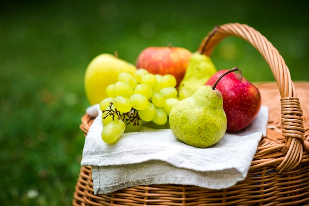 Frutta del primo piano su un cestino di picnic