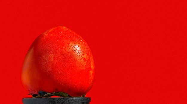 Frutta di cachi arancione succosa matura isolata su sfondo rosso brillante Idea di carta da parati o decorazione dello spazio Gocce d'acqua sulla vendita di cachi