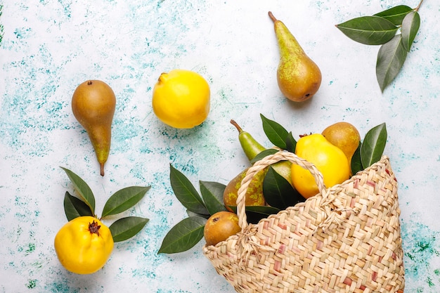 Frutta fresca biologica dell'azienda agricola, pere, mele cotogne, vista dall'alto