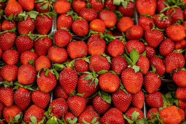 Frutti di bosco biologici freschi