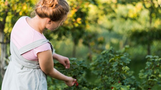 Frutti di raccolto della ragazza di vista laterale