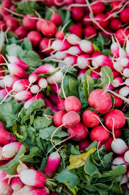 Frutti rotondi rossi su foglie verdi