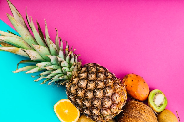 Frutto di opuntia; ananas; Noce di cocco; arancia e kiwi su doppio sfondo rosa e blu