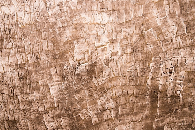 Full frame di legno con texture di sfondo