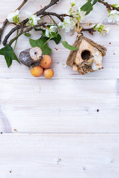 Funghi decorativi, voliera e rami con fiori su un tavolo di legno con spazio per il testo