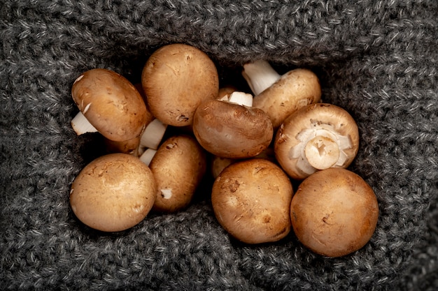 Funghi in una scatola a maglia grigia