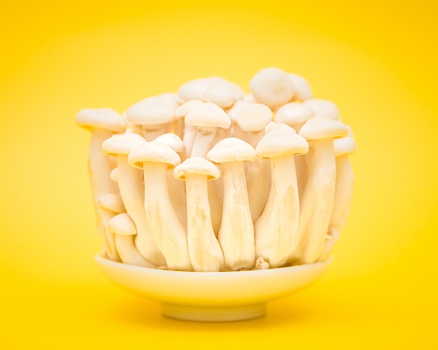 Funghi sul piatto bianco sopra giallo