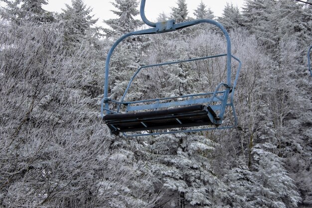 Funivia con alberi innevati sullo sfondo