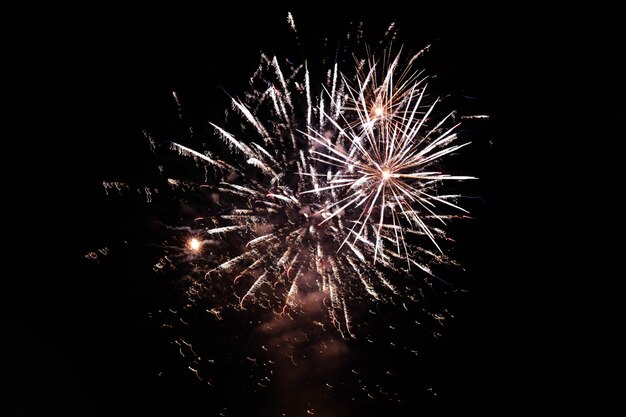 Fuochi d'artificio che esplodono nel cielo notturno diffondono un'atmosfera festosa