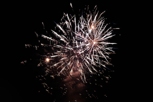 Fuochi d'artificio che esplodono nel cielo notturno diffondono un'atmosfera festosa