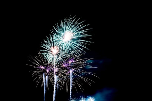 Fuochi d&#39;artificio colorati nel cielo notturno