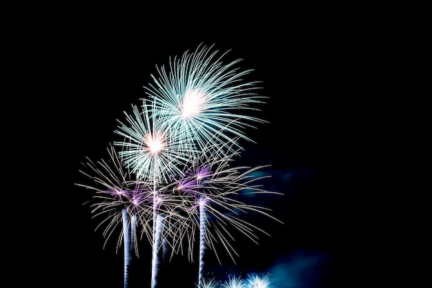 Fuochi d&#39;artificio colorati nel cielo notturno