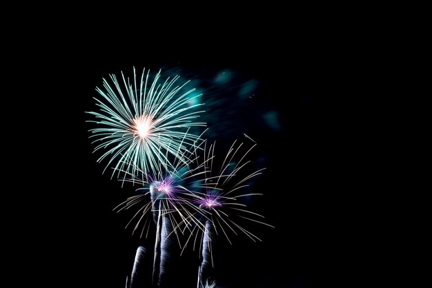 Fuochi d&#39;artificio colorati nel cielo notturno