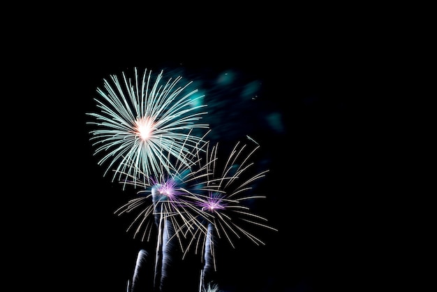 Fuochi d&#39;artificio colorati nel cielo notturno