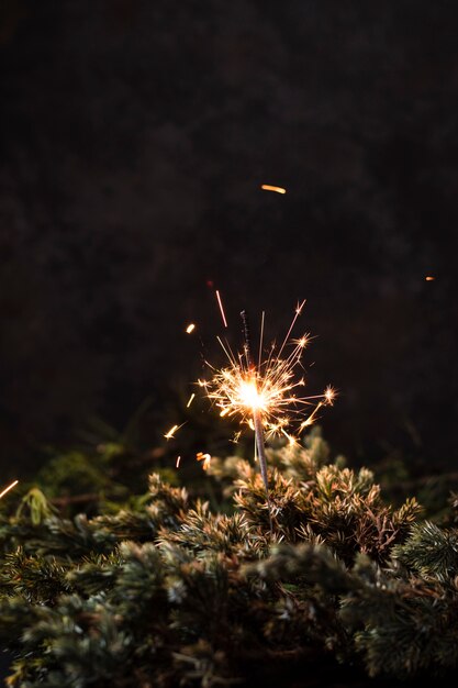 Fuochi d'artificio palmare vista frontale con sfondo nero