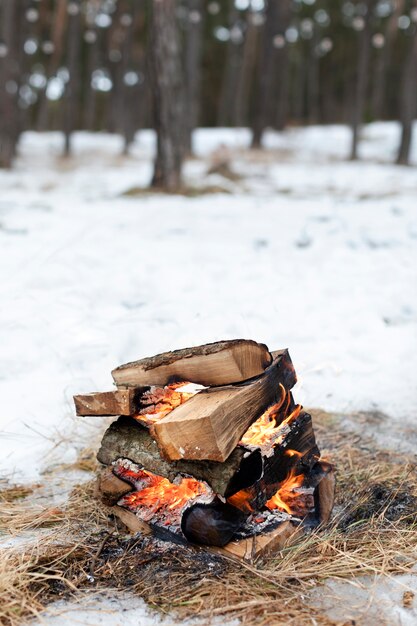 Fuoco da campo all'aperto orario invernale