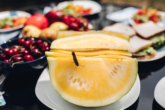 Fuoco selettivo della farfalla sul melone dolce giallo