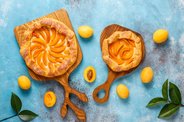 Galette rustiche fatte in casa all'albicocca con frutti freschi di albicocca biologici.