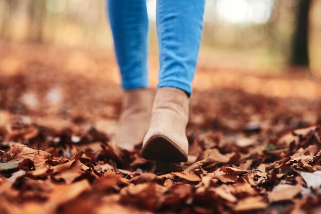 Gambe umane che camminano tra le foglie autunnali