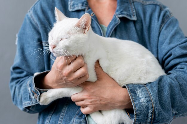 Gatto del primo piano che si siede nelle armi del proprietario