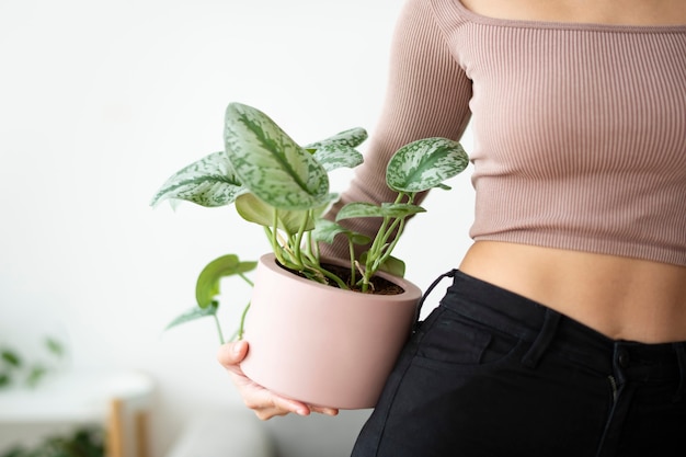 Genitore della pianta millenaria che tiene una pianta d'appartamento in vaso