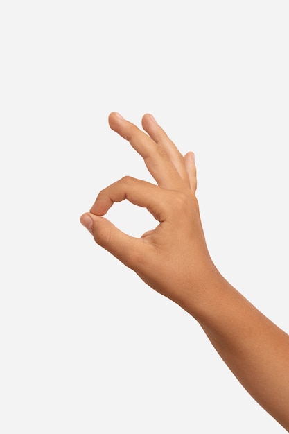 Gesto del linguaggio dei segni isolato su bianco