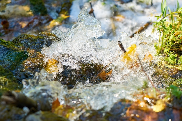 Ghiaccio sulle rocce con muschio