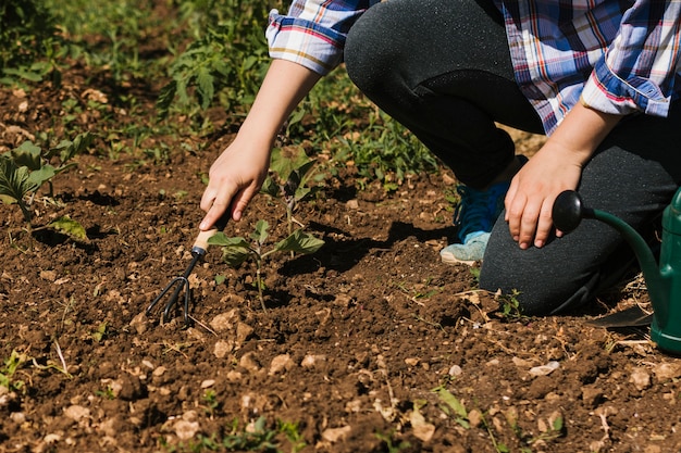 Giardiniere che si inginocchia nel giardino