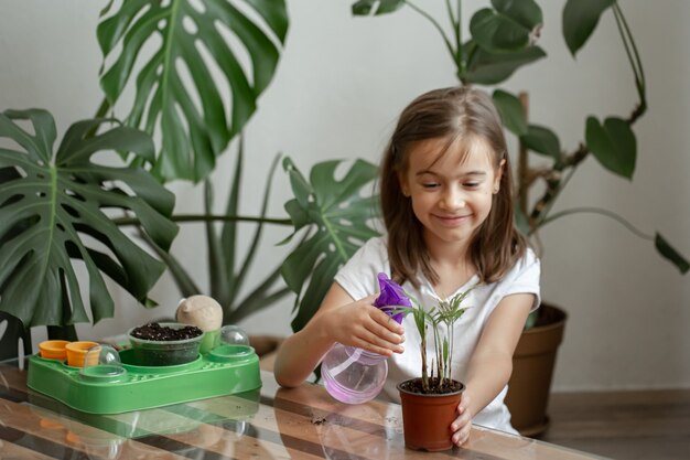 Giardiniere divertente della bambina con le piante nella stanza a casa, irrigazione e cura delle piante d'appartamento, fiori dei trapianti.