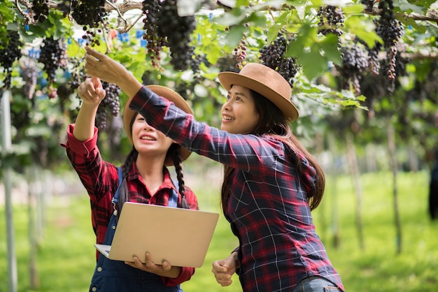 Giardiniere felice delle giovani donne che tiene i rami dell&#39;uva blu matura