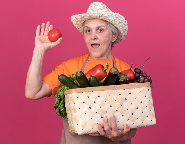 Giardiniere femminile anziano sorpreso che indossa cappello da giardinaggio che tiene cesto di verdure e pomodoro