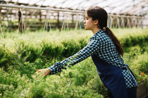 Giardiniere femminile che lavora nella serra