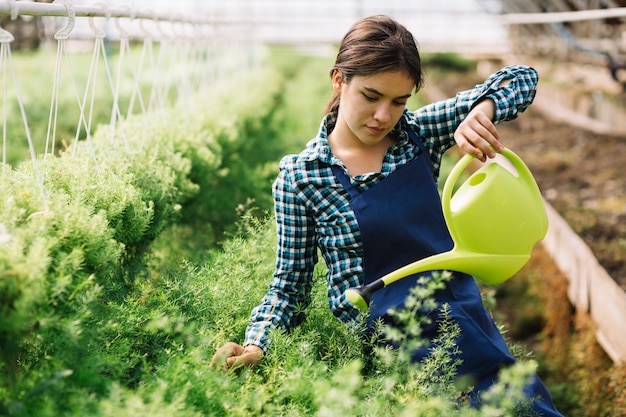 Giardiniere femminile che lavora nella serra