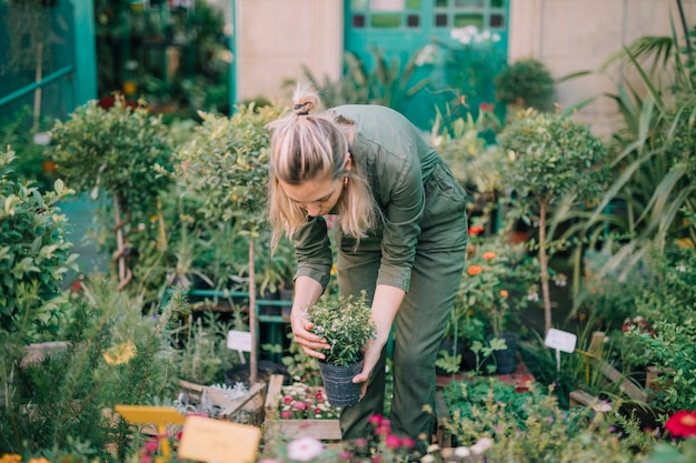 Giardiniere femminile che sistema il vaso nella scuola materna della pianta