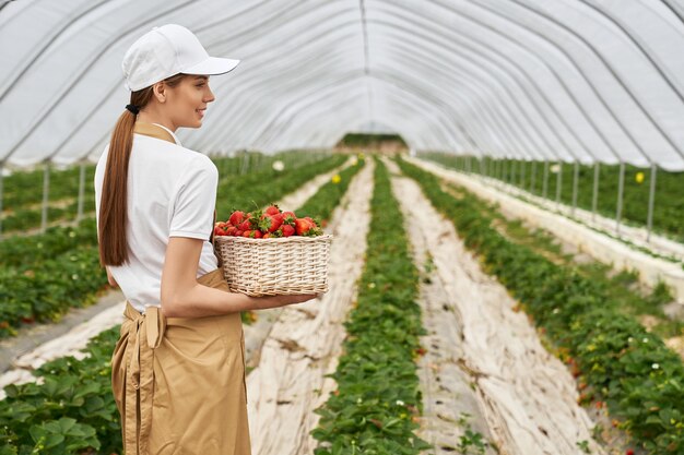 Giardiniere femminile che trasporta cesto con fragole fresche