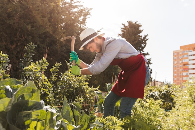 Giardiniere maschio che scava il terreno con la zappa nel giardino