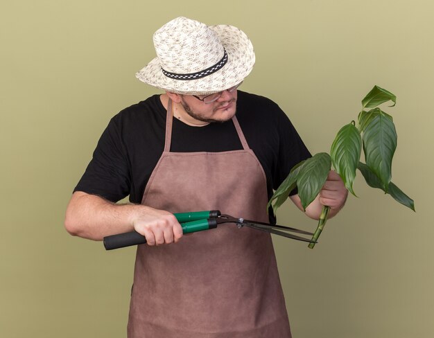 Giardiniere maschio giovane rigoroso che porta pianta di taglio del cappello di giardinaggio con i clippers isolati sulla parete verde oliva