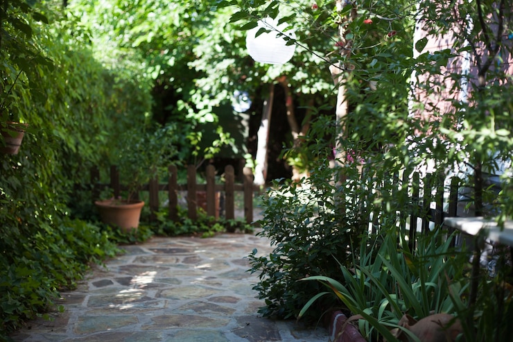 Foto gratuito giardino a luce diurna