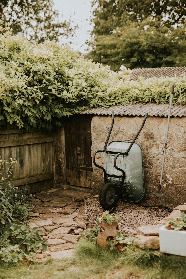 Foto gratuito giardino di casa piccolo cortile con strumenti
