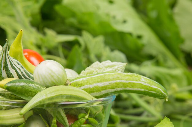 Giornata mondiale dell'alimentazione, verdure varie e colorate.